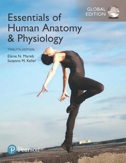 Essentials of Human Anatomy & Physiology, Global Edition (12th Edition)
