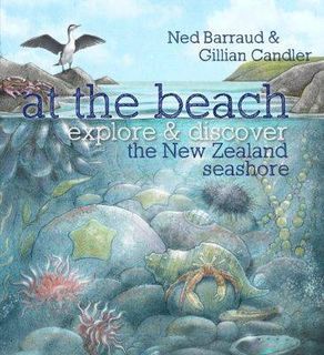 At the Beach: Explore and Discover the New Zealand Seashore