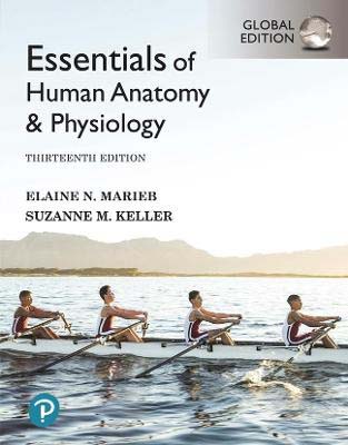 Essentials of Human Anatomy & Physiology (13th Edition)