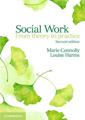 Social Work: From Theory to Practice (2nd Edition)
