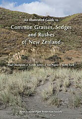 An Illustrated Guide to Common Grasses, Sedges and Rushes of New Zealand